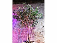 Kunstplant in designvaas - afbeelding 4 van  6