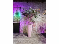 Kunstplant in designvaas - afbeelding 2 van  5