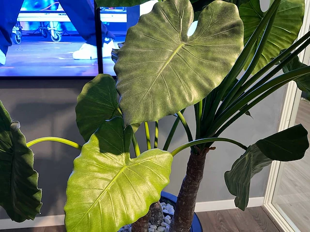 Kunstplant in pot 190cm - afbeelding 4 van  11