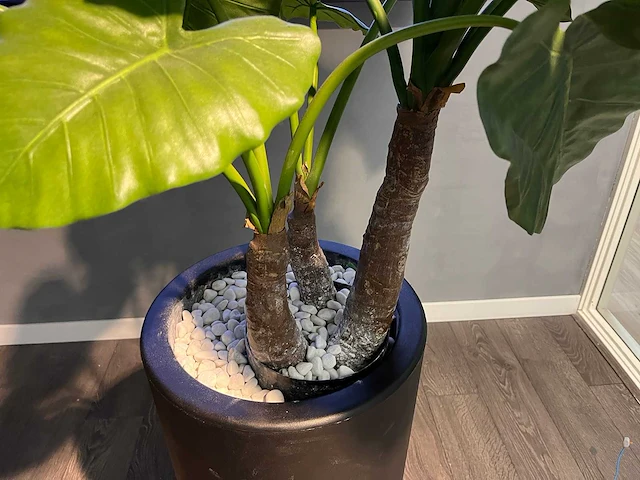 Kunstplant in pot 190cm - afbeelding 6 van  11