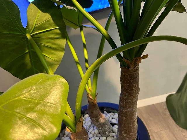Kunstplant in pot 190cm - afbeelding 9 van  11