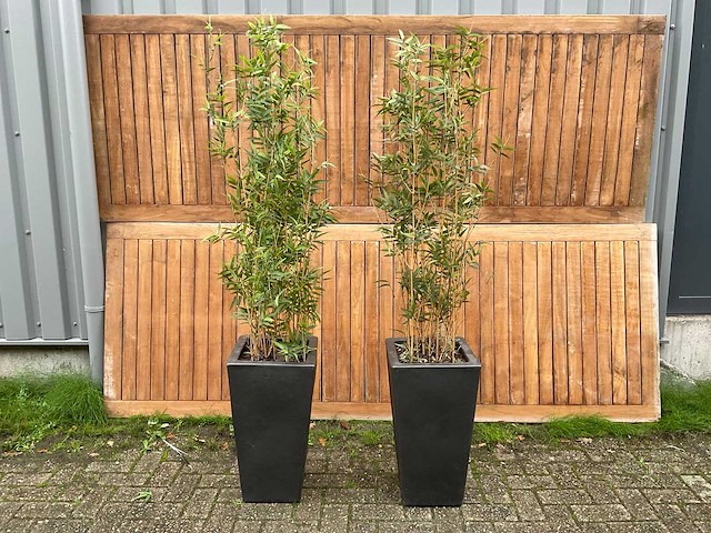 Kunstplant in pot (2x) - afbeelding 1 van  3