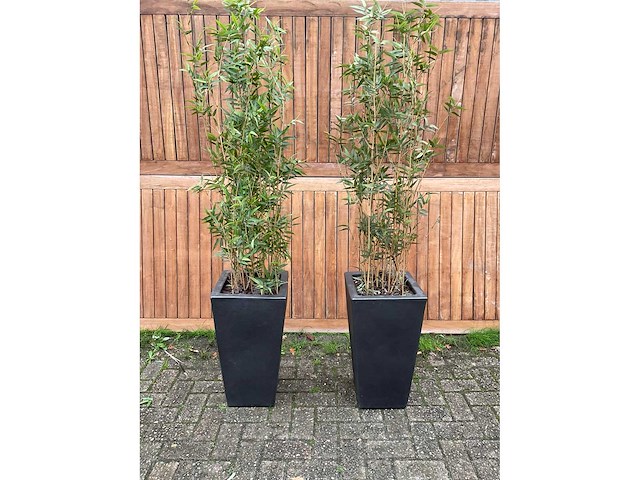 Kunstplant in pot (2x) - afbeelding 2 van  3