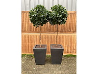 Kunstplant in pot (2x) - afbeelding 2 van  4