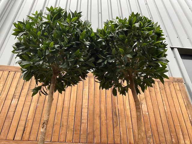 Kunstplant in pot (2x) - afbeelding 4 van  4