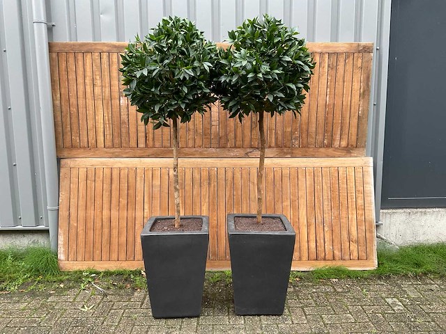 Kunstplant in pot (2x) - afbeelding 1 van  4