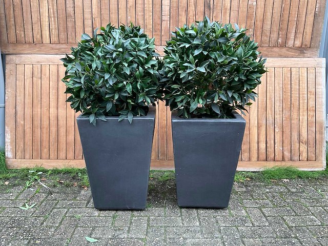 Kunstplant in pot (2x) - afbeelding 1 van  3