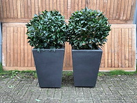 Kunstplant in pot (2x) - afbeelding 1 van  3