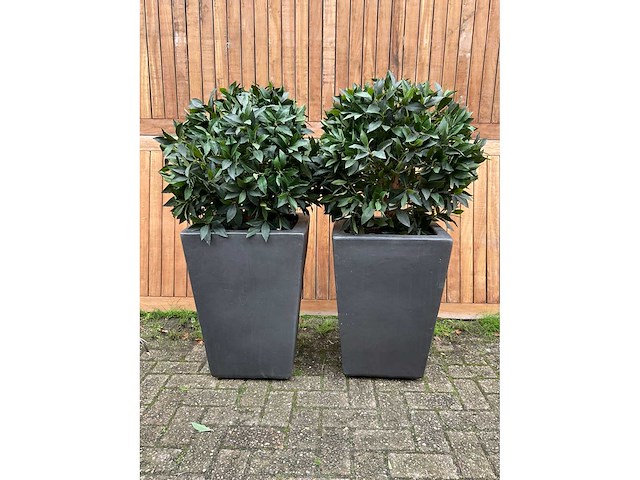 Kunstplant in pot (2x) - afbeelding 2 van  3
