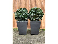 Kunstplant in pot (2x) - afbeelding 2 van  3