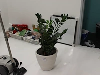 Kunstplant in pot hoogte 100 cm. - afbeelding 1 van  2