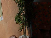 Kunstplant in pot hoogte 190 cm. - afbeelding 2 van  2