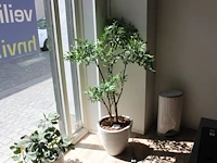 Kunstplant in pot met hoogte 140 cm. - afbeelding 1 van  2