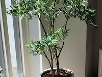 Kunstplant in pot met hoogte 140 cm. - afbeelding 2 van  2
