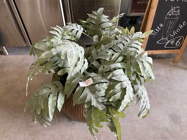 Kunstplant in pot - afbeelding 2 van  2