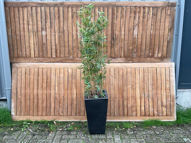 Kunstplant in pot - afbeelding 1 van  3