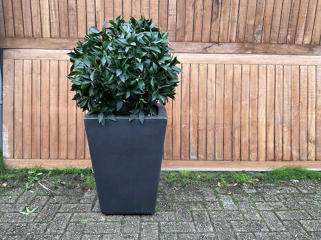 Kunstplant in pot - afbeelding 1 van  3