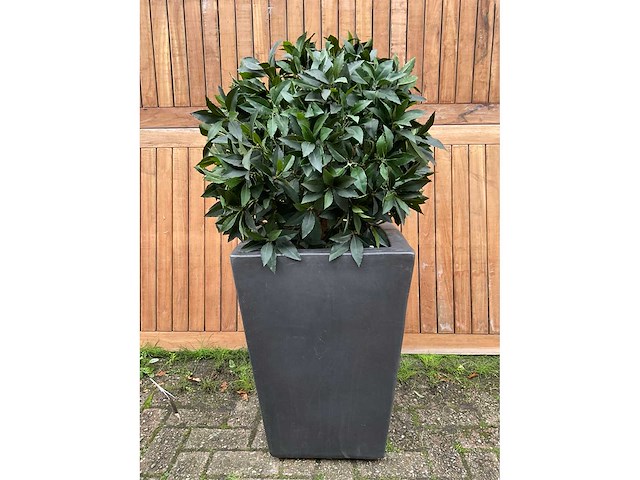 Kunstplant in pot - afbeelding 2 van  3