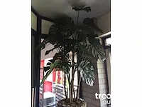 Kunstplant in pot - afbeelding 3 van  4
