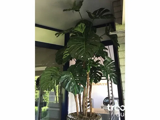 Kunstplant in pot - afbeelding 4 van  4
