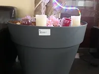 Kunstplant in pot - afbeelding 7 van  7