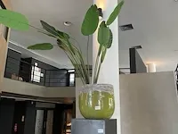 Kunstplant in pot
