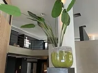 Kunstplant in pot - afbeelding 2 van  5