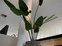 Kunstplant in pot - afbeelding 5 van  5