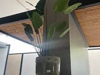 Kunstplant in pot - afbeelding 1 van  4