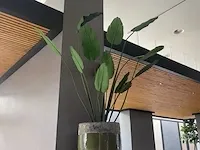 Kunstplant in pot - afbeelding 3 van  4