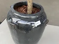 Kunstplant in pot - afbeelding 4 van  6