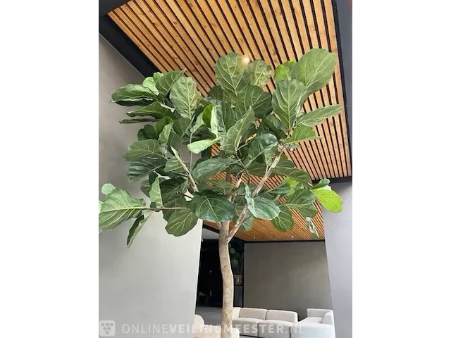 Kunstplant in pot - afbeelding 6 van  6