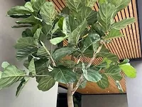 Kunstplant in pot - afbeelding 6 van  6