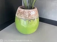 Kunstplant in pot - afbeelding 3 van  3