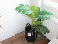 Kunstplant in rubberen mand, hoogte 90 cm. - afbeelding 1 van  2