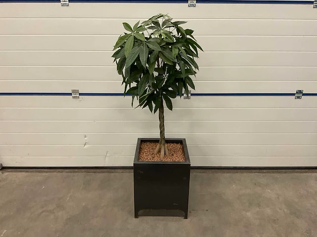 Kunstplant in stalen pot - afbeelding 1 van  2