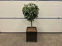 Kunstplant in stalen pot - afbeelding 1 van  2