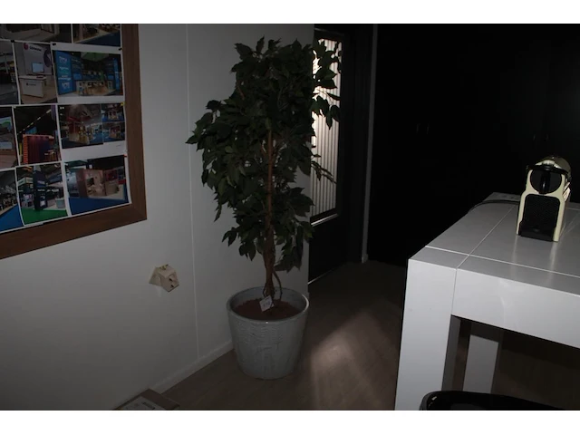 Kunstplant met hoogte 170 cm in keramieken pot. doorsnede pot 44 cm. - afbeelding 1 van  2