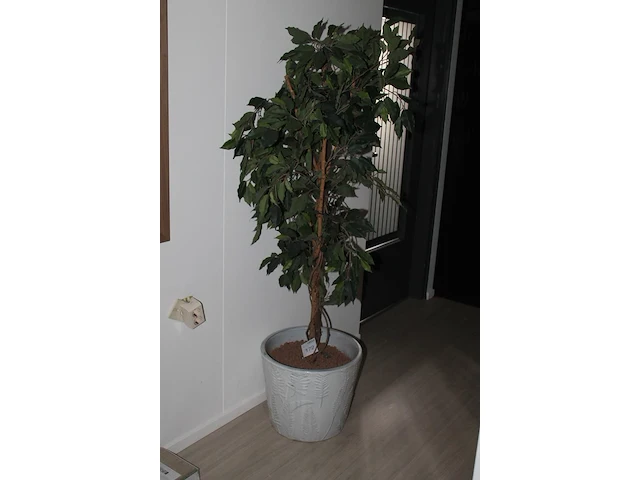 Kunstplant met hoogte 170 cm in keramieken pot. doorsnede pot 44 cm. - afbeelding 2 van  2