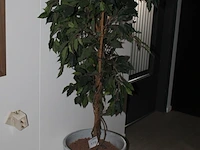 Kunstplant met hoogte 170 cm in keramieken pot. doorsnede pot 44 cm. - afbeelding 2 van  2