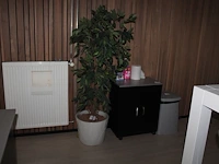 Kunstplant met hoogte 170 cm in keramieken pot. doorsnede pot 44 cm. - afbeelding 1 van  2