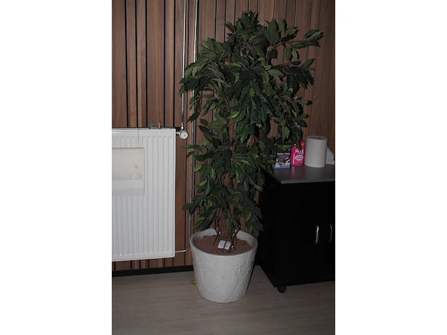 Kunstplant met hoogte 170 cm in keramieken pot. doorsnede pot 44 cm. - afbeelding 2 van  2