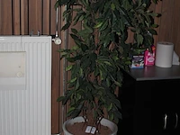Kunstplant met hoogte 170 cm in keramieken pot. doorsnede pot 44 cm. - afbeelding 2 van  2