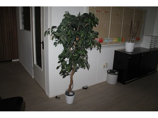 Kunstplant met hoogte 170 cm in kunststof pot. doorsnede pot 20 cm. - afbeelding 1 van  2
