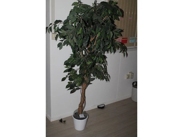 Kunstplant met hoogte 170 cm in kunststof pot. doorsnede pot 20 cm. - afbeelding 2 van  2