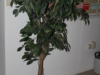 Kunstplant met hoogte 170 cm in kunststof pot. doorsnede pot 20 cm. - afbeelding 2 van  2