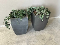 Kunstplant met pot (2x) - afbeelding 1 van  3