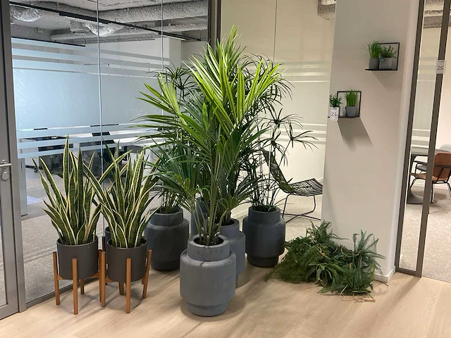 Kunstplant met pot (8x) - afbeelding 1 van  6