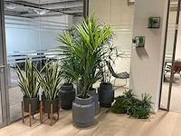 Kunstplant met pot (8x) - afbeelding 1 van  6