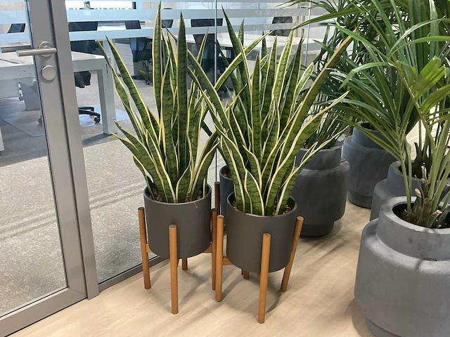 Kunstplant met pot (8x) - afbeelding 2 van  6